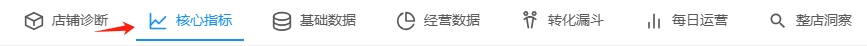 核心指标入口